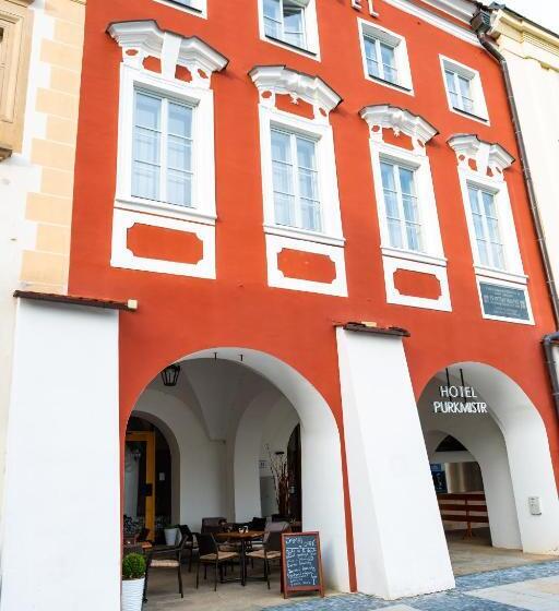 בית מלון כפרי Purkmistr