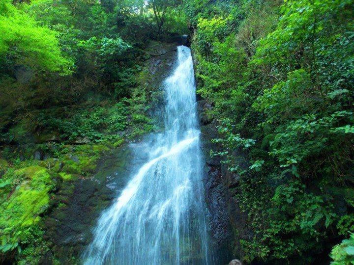 پانسیون Mtirala House