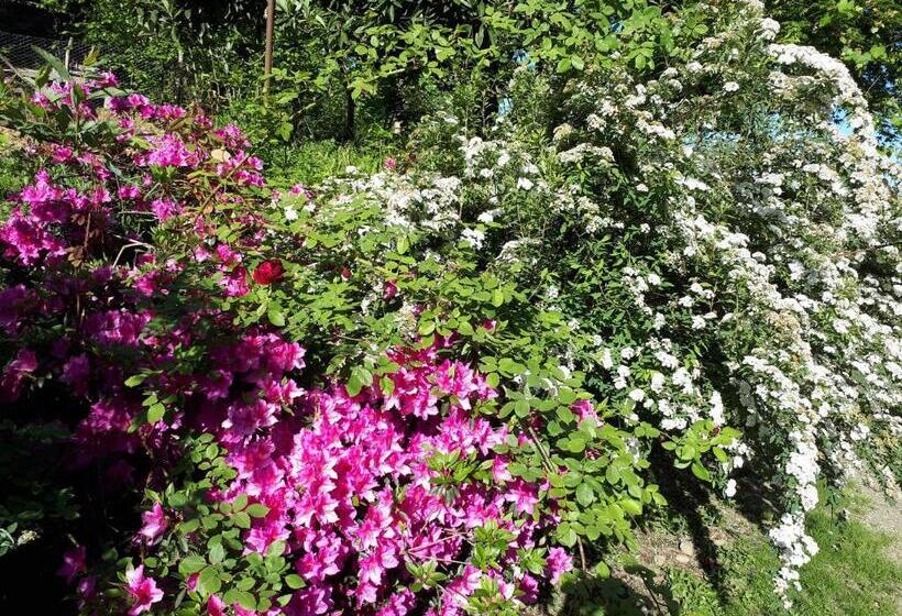 پانسیون Mtirala House