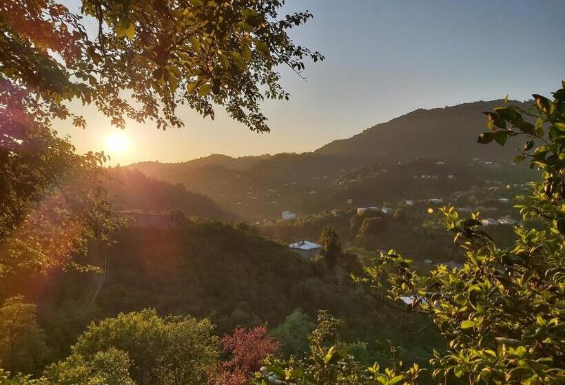 پانسیون Mtirala House