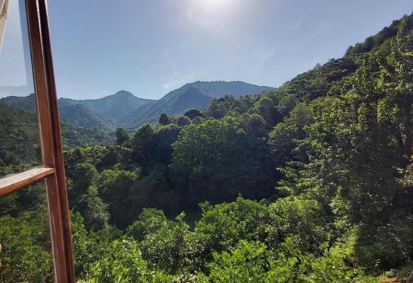 پانسیون Mtirala House