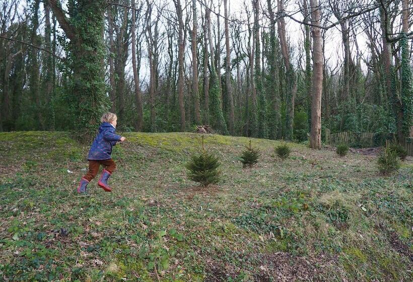 אתר נופש Watermouth Lodges