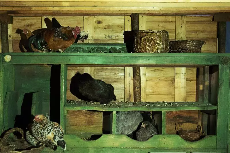 Aamiaismajoitus (B&B) Ninho Saloio