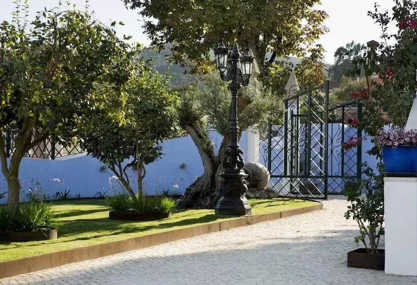 Aamiaismajoitus (B&B) Ninho Saloio