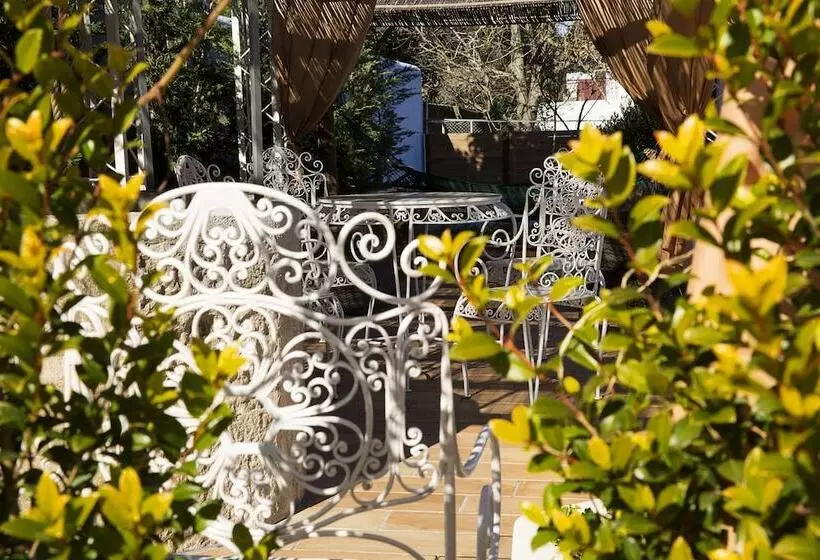 Aamiaismajoitus (B&B) Ninho Saloio