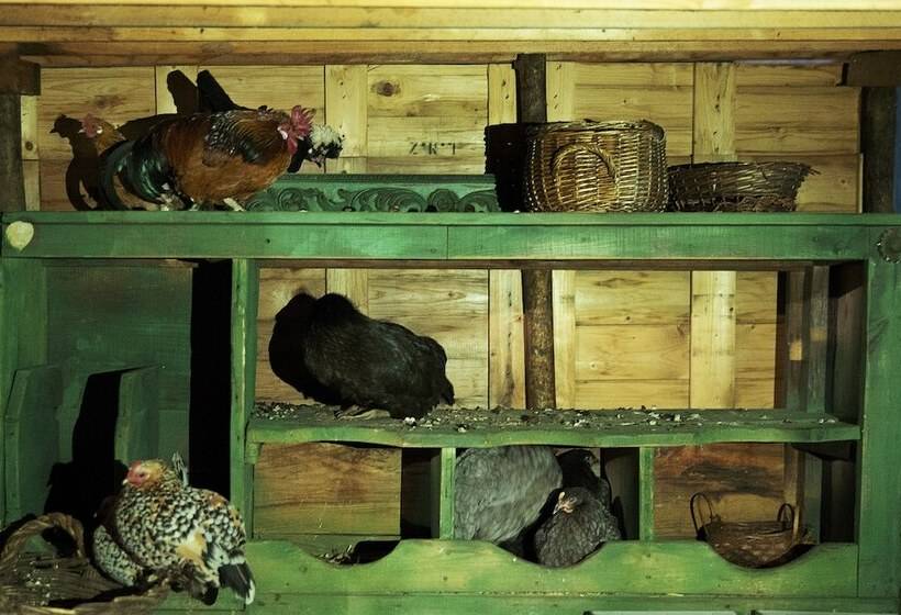 צימר Ninho Saloio