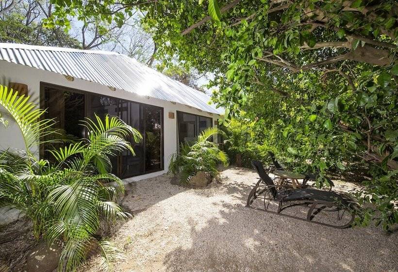 Отель Libelula Lounge & Lodgings