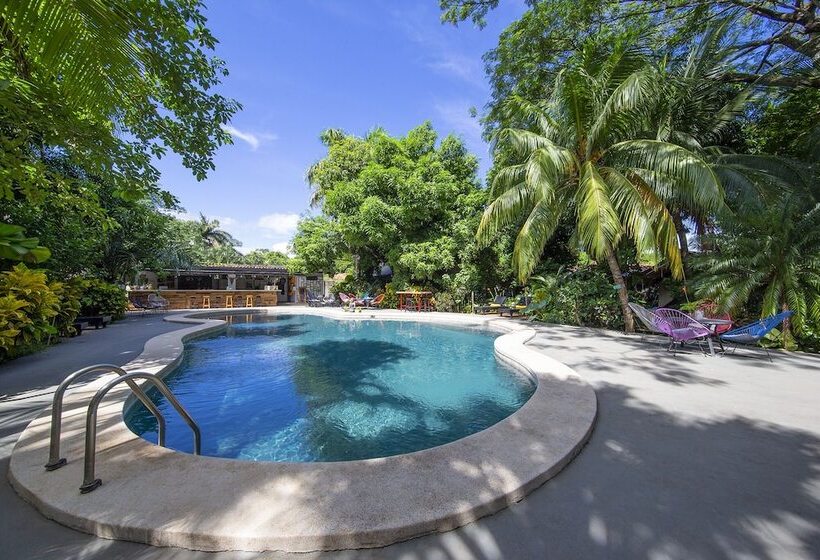 Отель Libelula Lounge & Lodgings