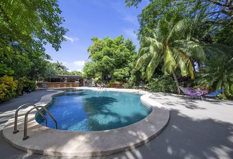 Hotelli Libelula Lounge & Lodgings