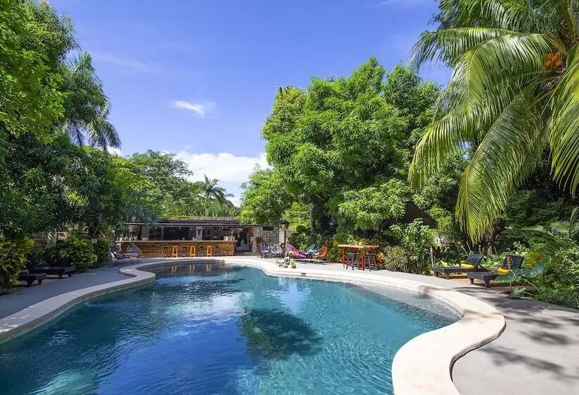 Hotelli Libelula Lounge & Lodgings