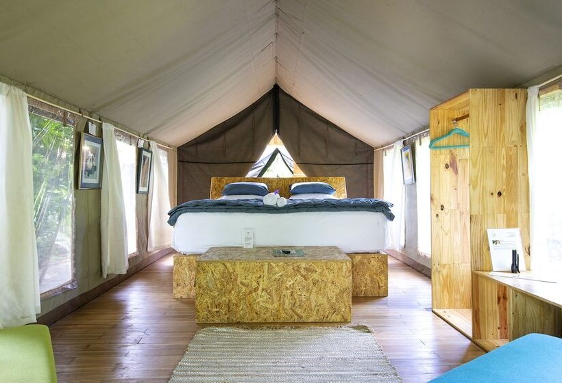 Отель Libelula Lounge & Lodgings