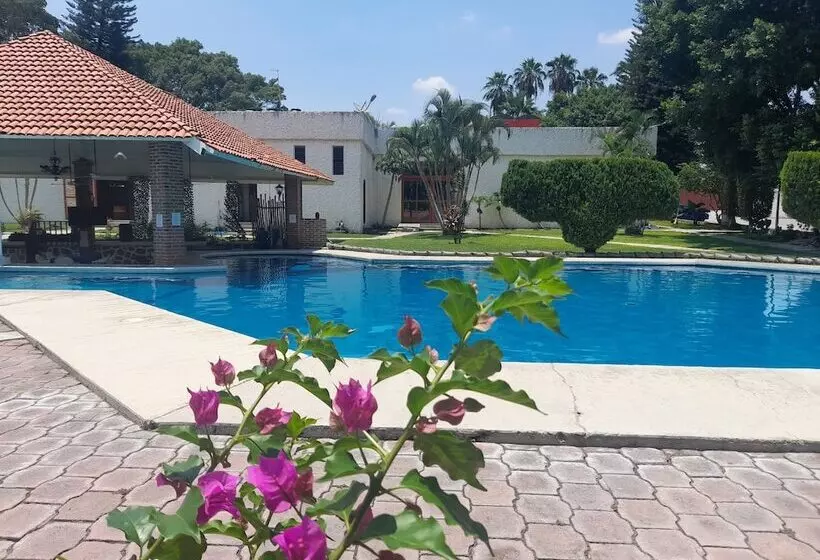 ホテル Teques Palace