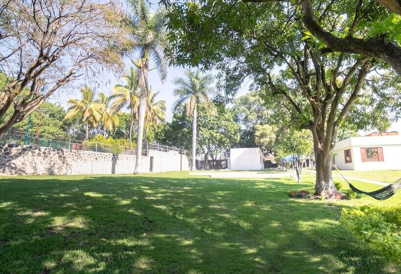 فندق Teques Palace