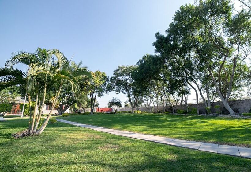 فندق Teques Palace