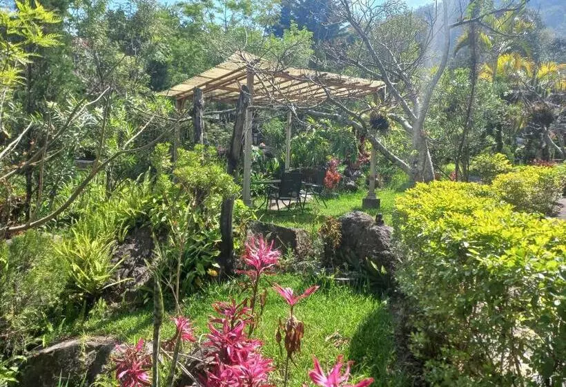 هتل Y Bungalows Ecologicos Marcelo