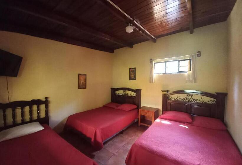 هتل Y Bungalows Ecologicos Marcelo