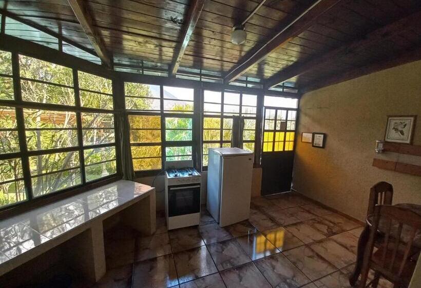 هتل Y Bungalows Ecologicos Marcelo