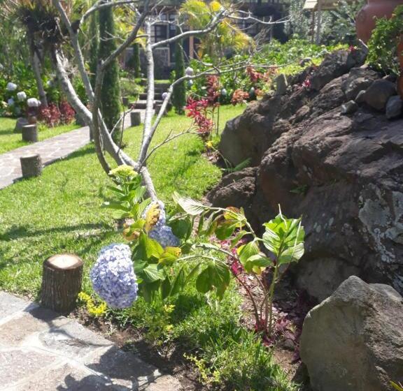 هتل Y Bungalows Ecologicos Marcelo