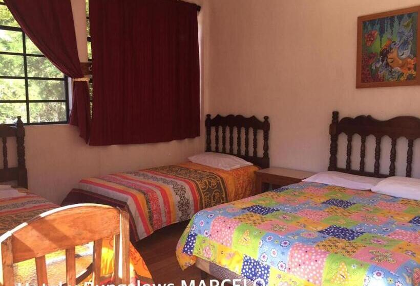هتل Y Bungalows Ecologicos Marcelo