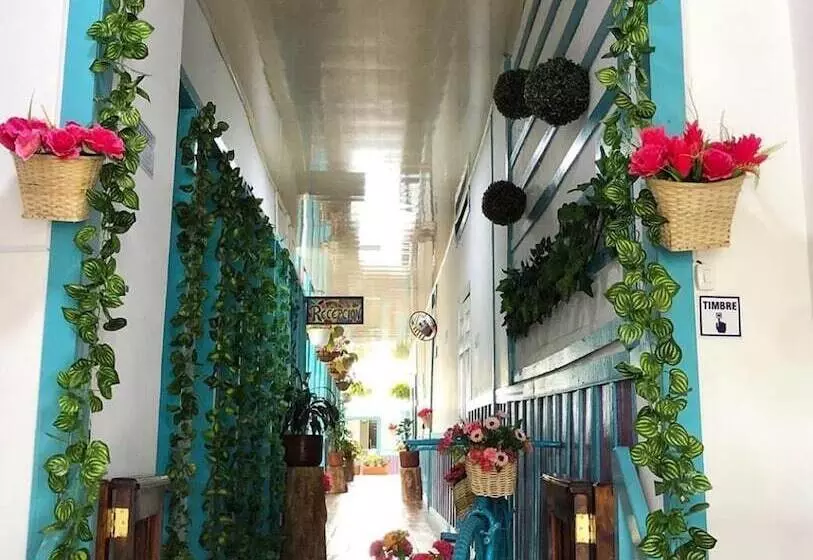 ペンション Hostal Don Julio