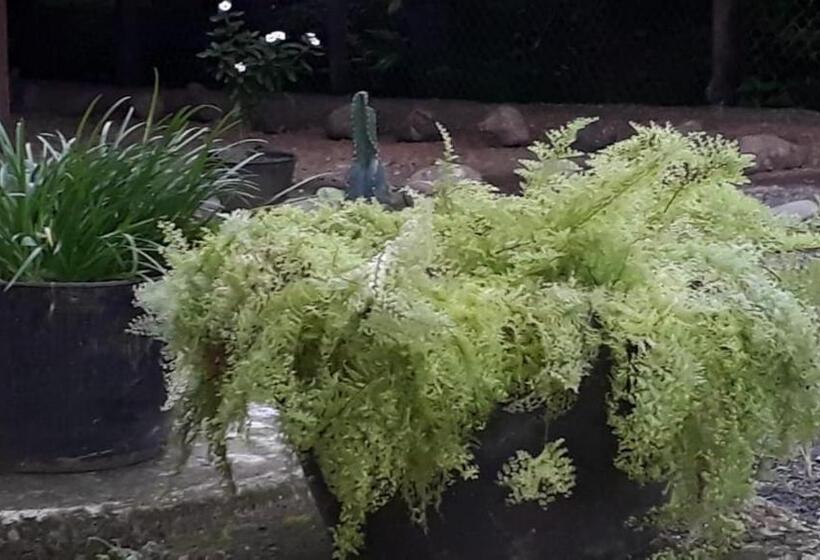 هاستل Posada El Acuario