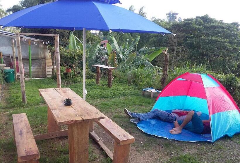 Hostel Vivienda Turistica Yerbabuena