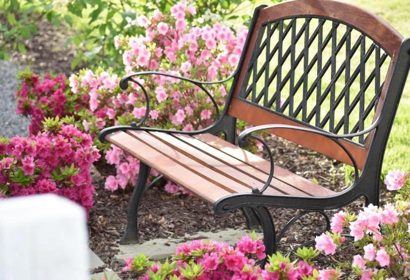 Danskammer House Bed & Breakfast