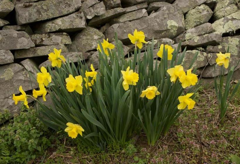 Danskammer House Bed & Breakfast