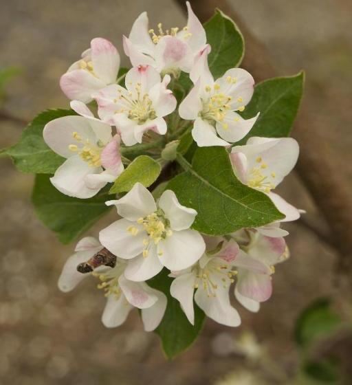 Danskammer House Bed & Breakfast