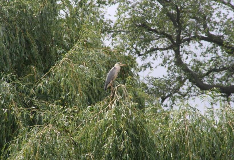 فندق Pension Müllers Mühle