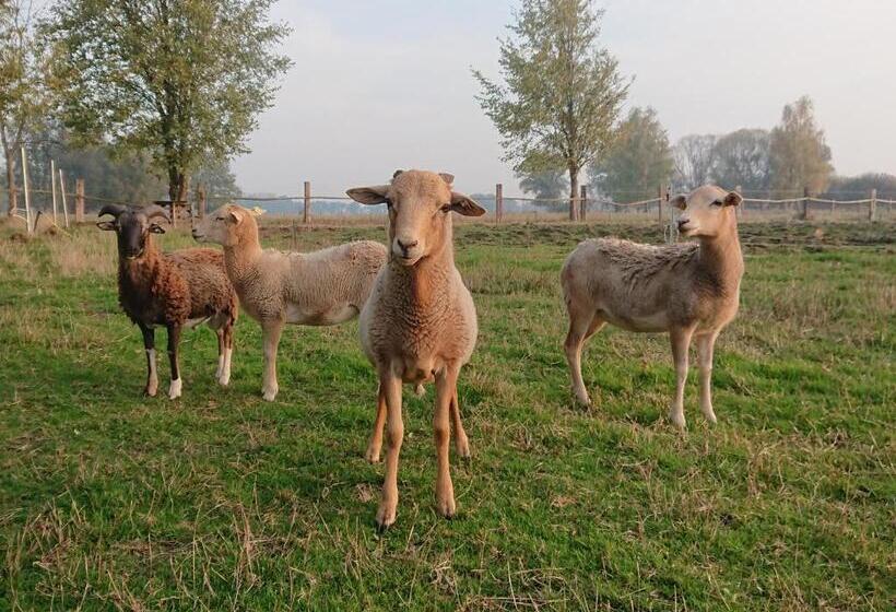 فندق Pension Müllers Mühle