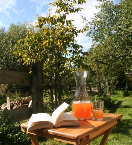 فندق Pension Müllers Mühle