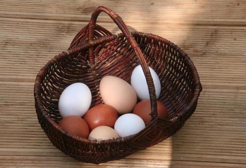 فندق Pension Müllers Mühle