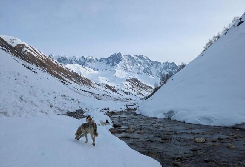 پانسیون Mshvidoba