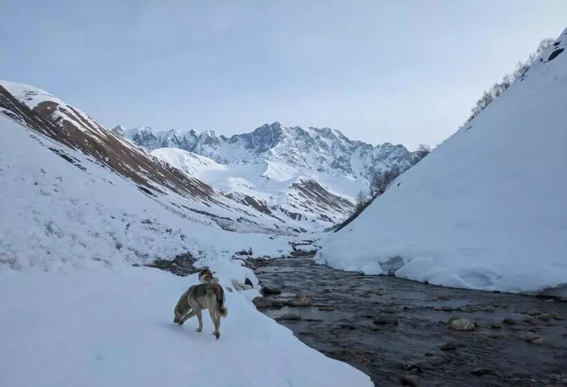 پانسیون Mshvidoba