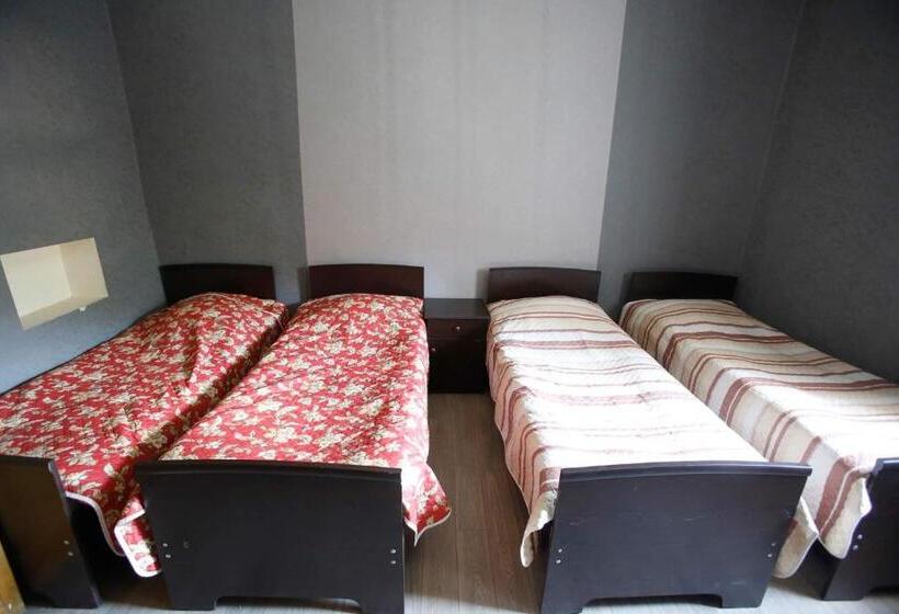 پانسیون Mshvidoba