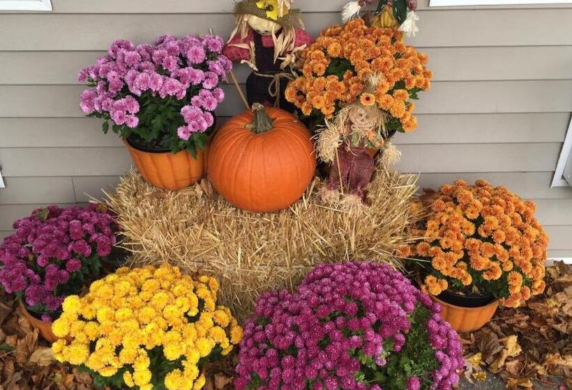 Westhampton Seabreeze Motel