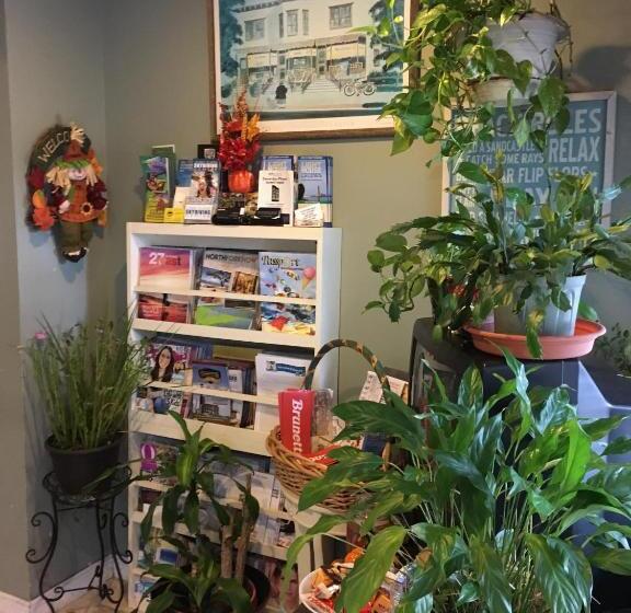 Westhampton Seabreeze Motel