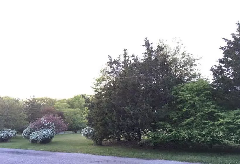 Westhampton Seabreeze Motel