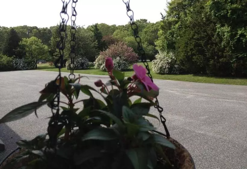 Westhampton Seabreeze Motel