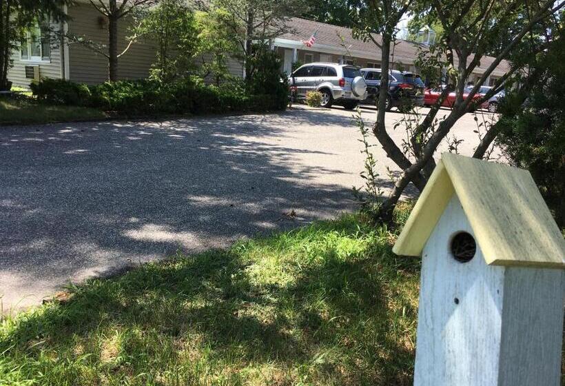 Westhampton Seabreeze Motel