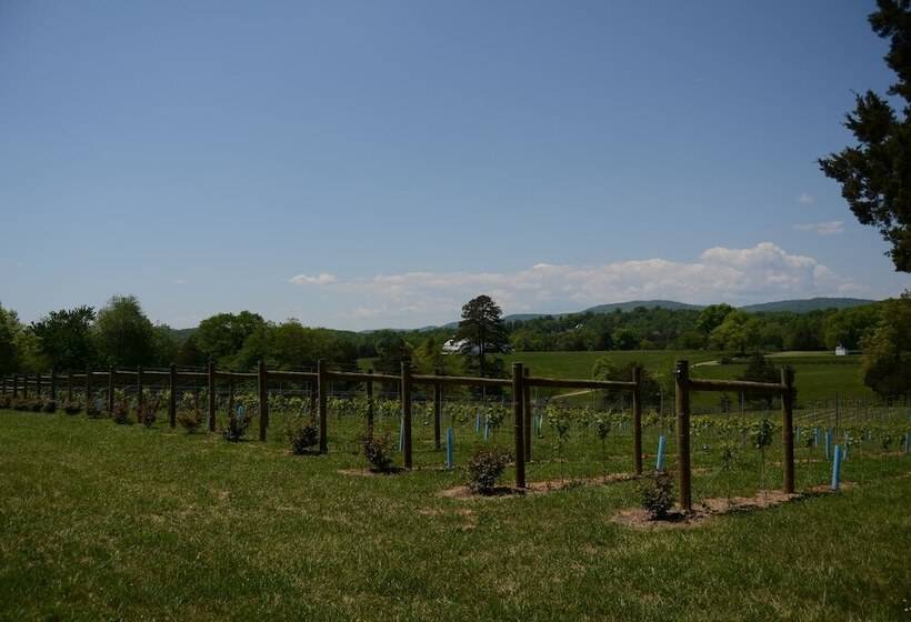 Woodville Bed And Breakfast