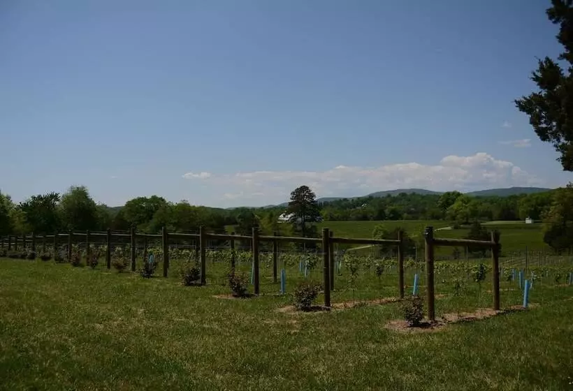 Woodville Bed And Breakfast