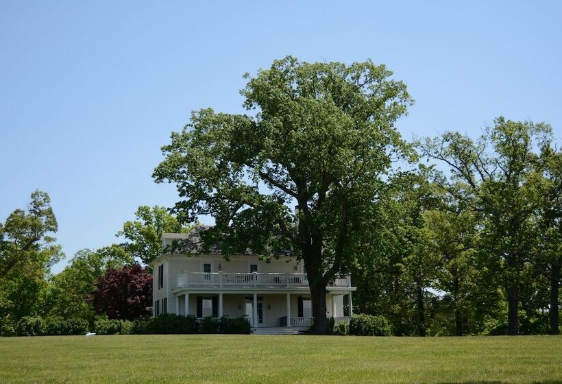 Woodville Bed And Breakfast