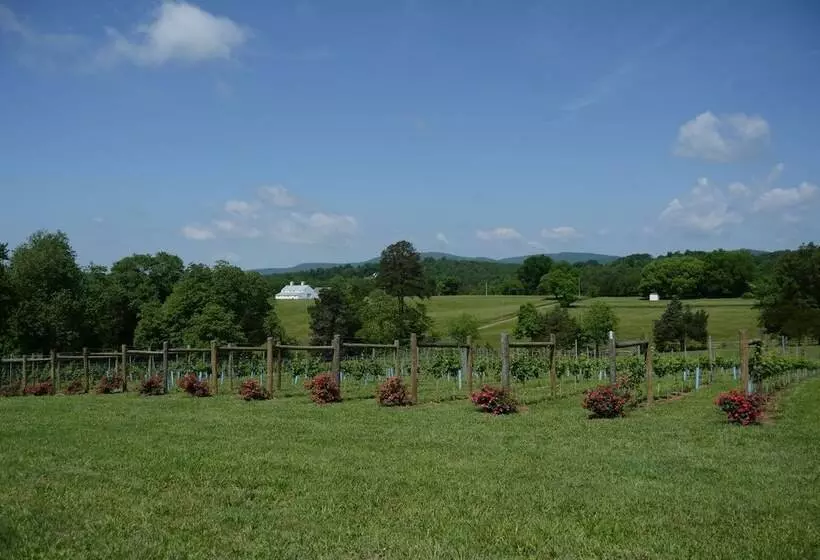 Woodville Bed And Breakfast