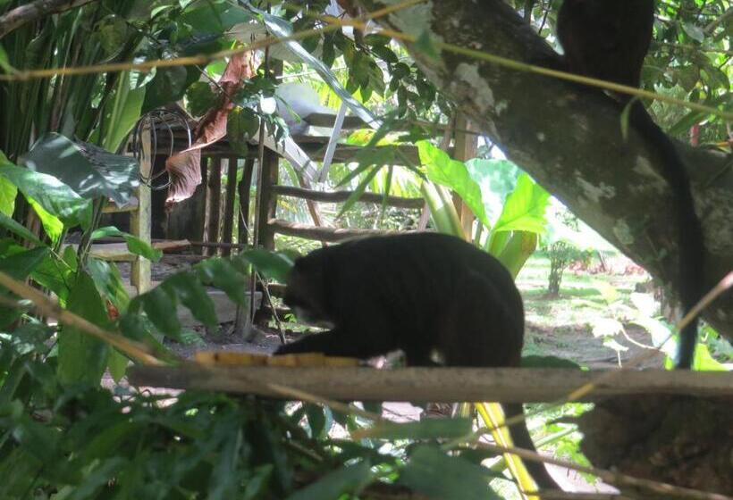 هتل Eware Refugio Amazonico