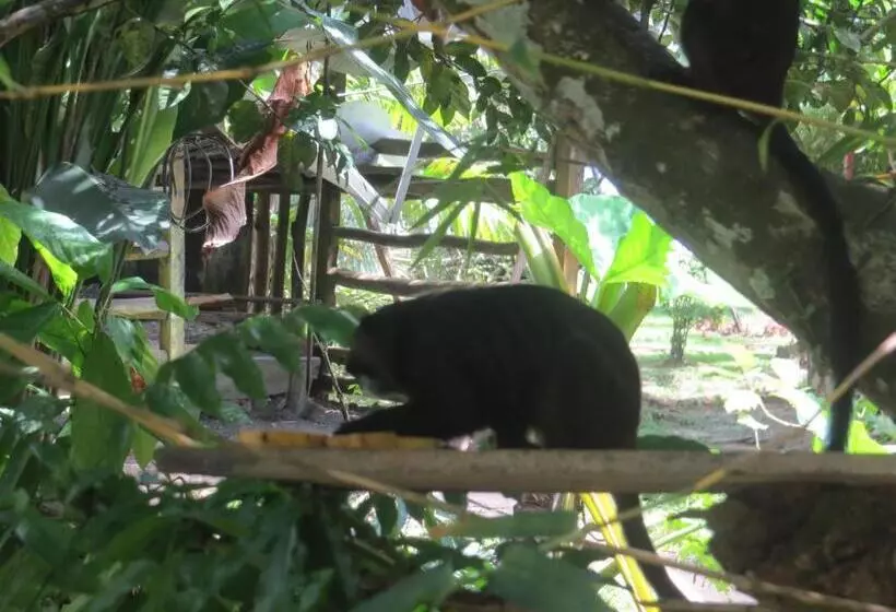 Hotelli Eware Refugio Amazonico