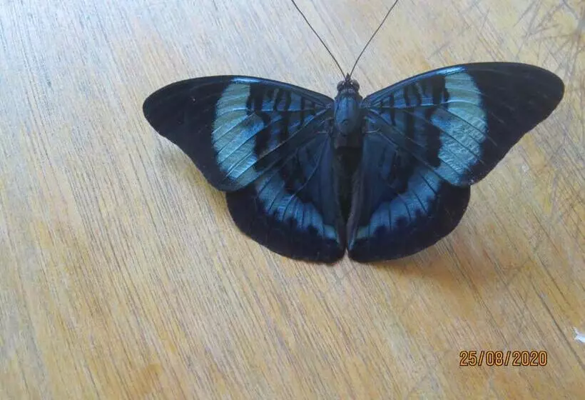 Hotelli Eware Refugio Amazonico