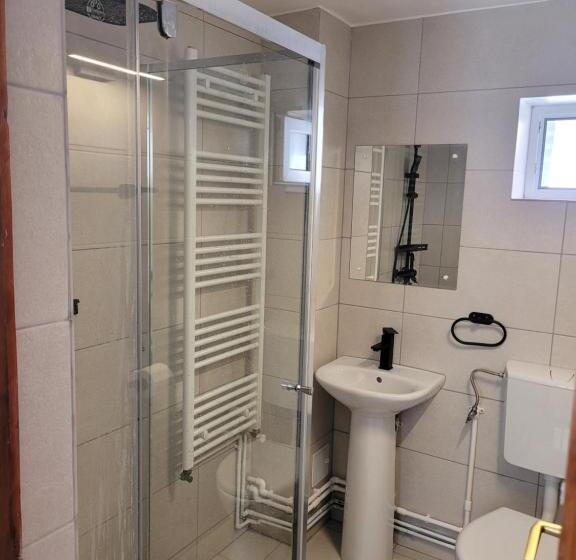 پانسیون Casa Floare De Colt