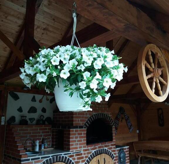 پانسیون Casa Floare De Colt